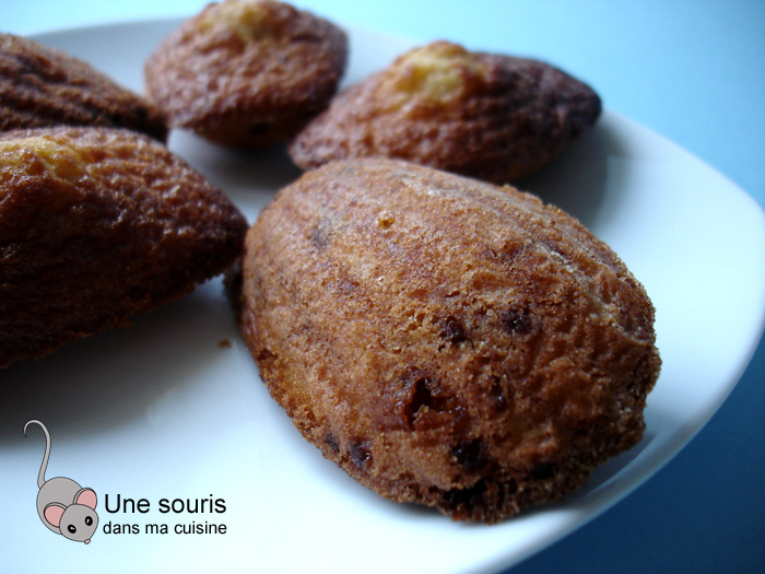 Madeleines aux Daims d'Isa